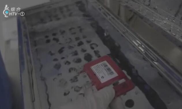 一家四口中三人同患白血病,脐带血移植帮他们恢复健康 一家四口中三人同患白血病,脐带血移植帮他们恢复健康