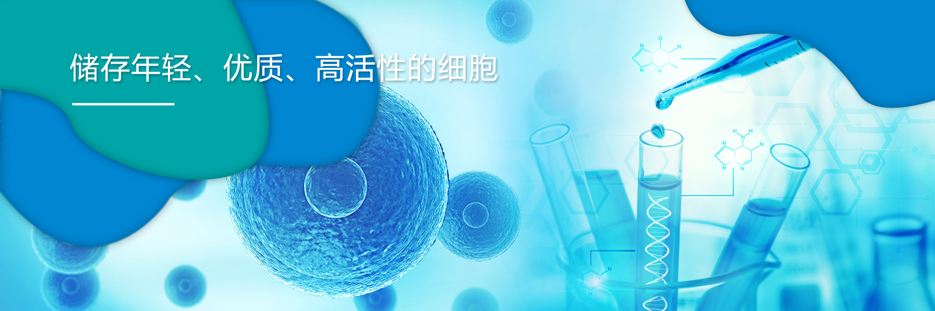 新生儿脐带血、脐带血治疗白血病